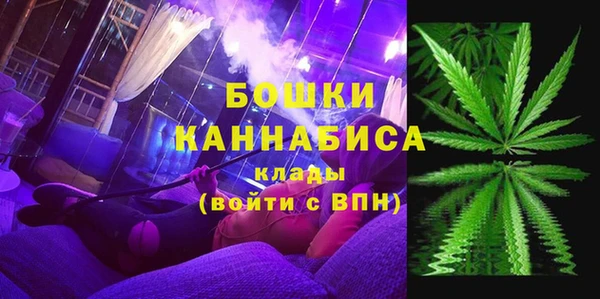 Альфа ПВП Арсеньев