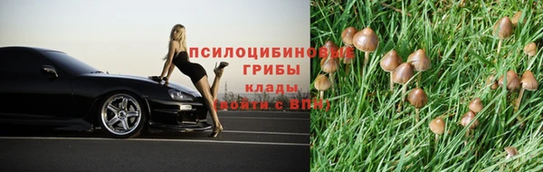 сатива Армянск