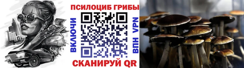гидра ссылка  Усинск  Псилоцибиновые грибы Psilocybine cubensis 